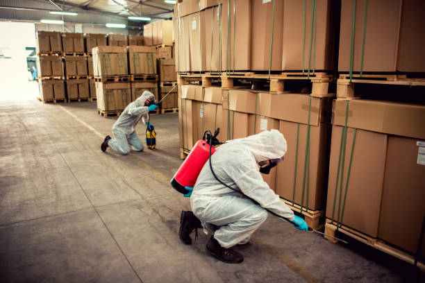 Best Wasp Removal Services  in Perryville, MD