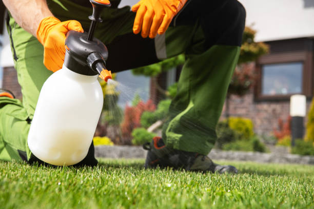Best Affordable Pest Control Services  in Perryville, MD