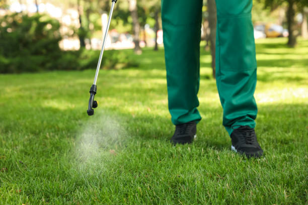Best Pest Control for Businesses  in Perryville, MD