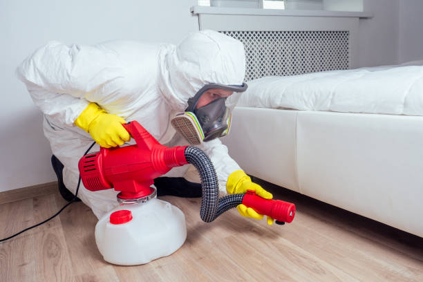 Best Termite Control Services  in Perryville, MD