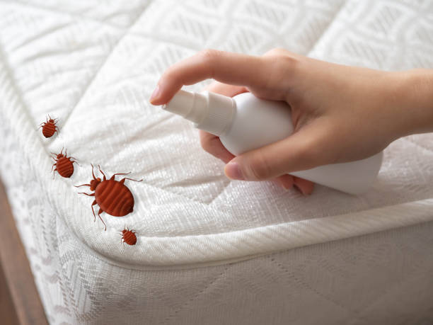 Best Exterminator Services  in Perryville, MD