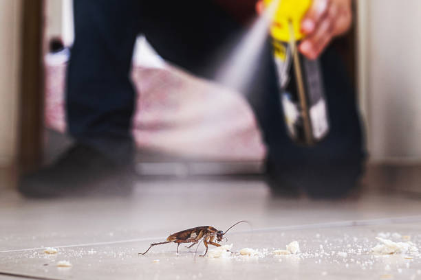 Best Pest Removal Services  in Perryville, MD